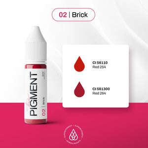 The Pigment - 02 Brick - 15ml