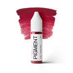 The Pigment - 14 Rusty Red - 15ml
