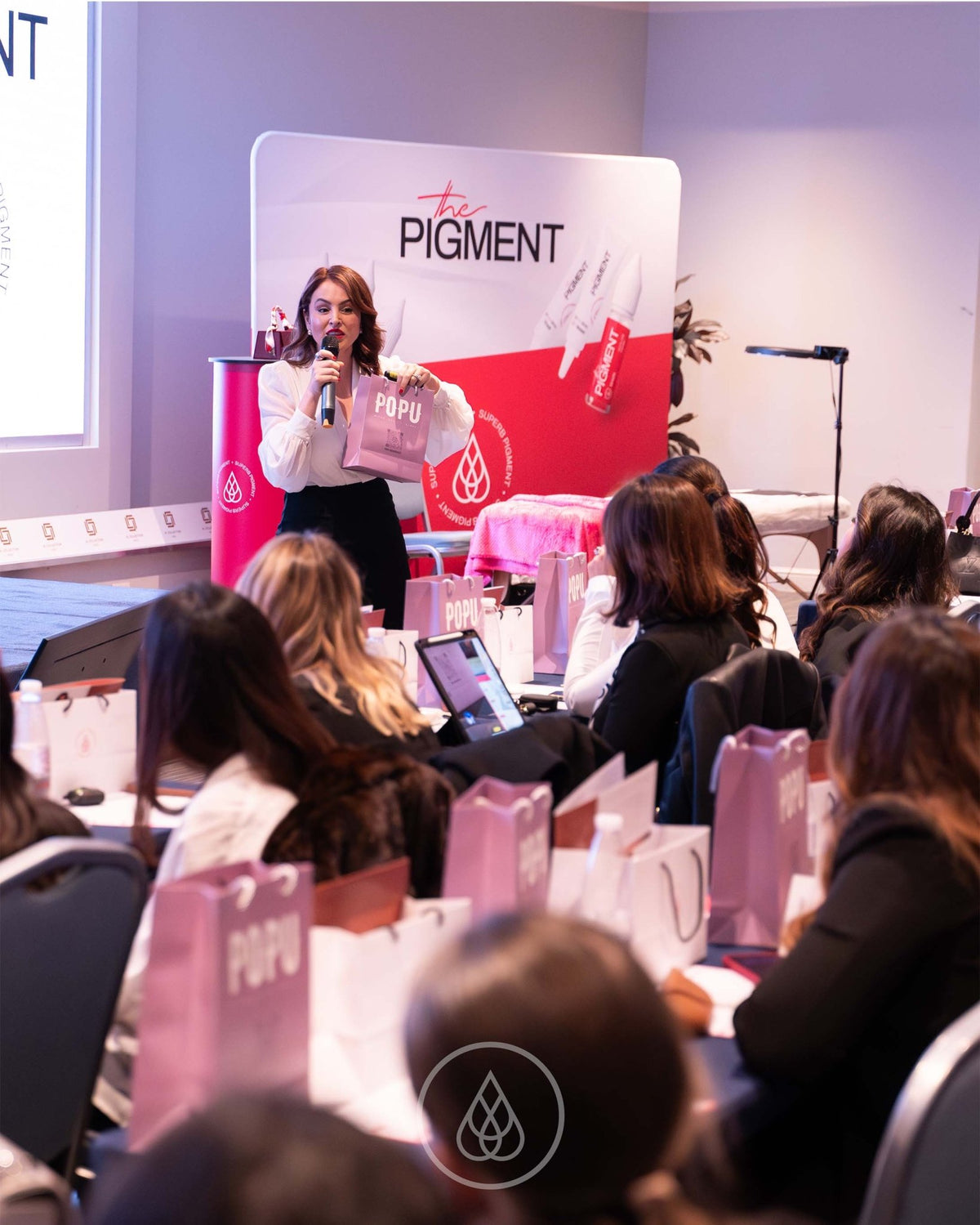 The Pigment - The Pigment Masterclass
