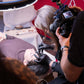 The Pigment - The Pigment Masterclass