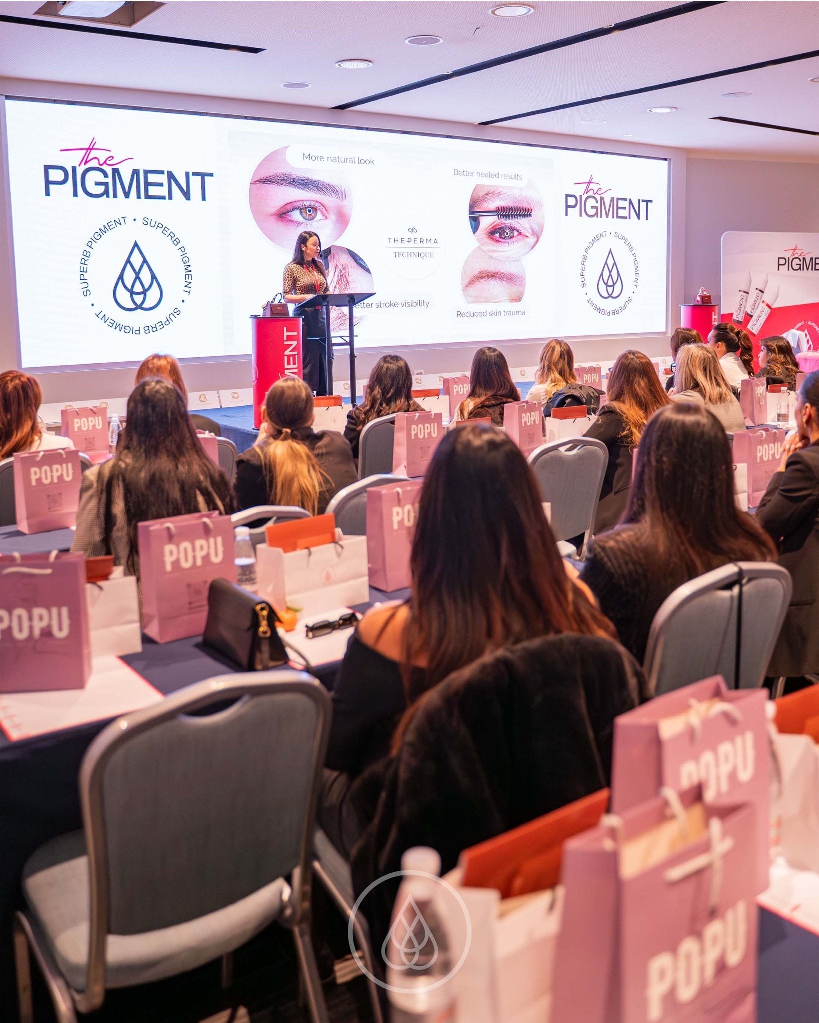 The Pigment - The Pigment Masterclass